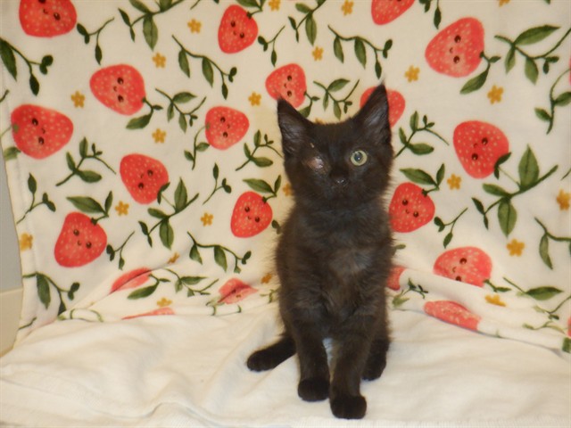 Rosie