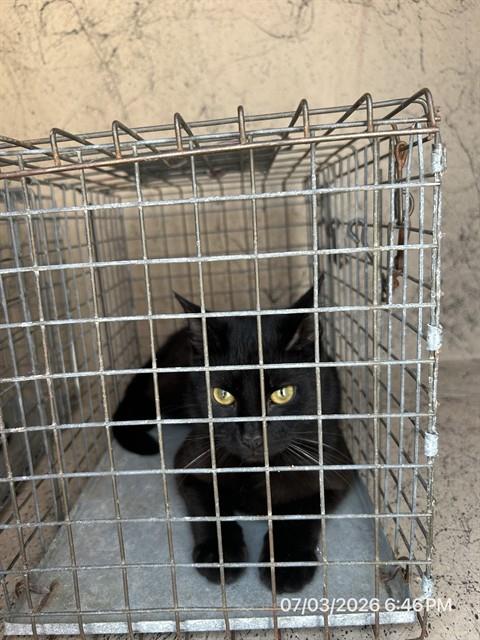 Milo