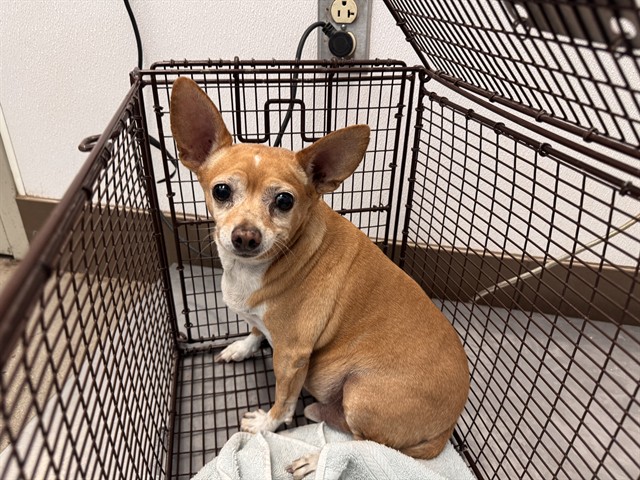 Paco