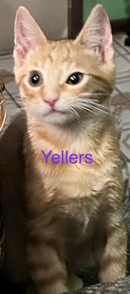 Yeller
