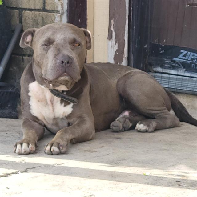 Prince