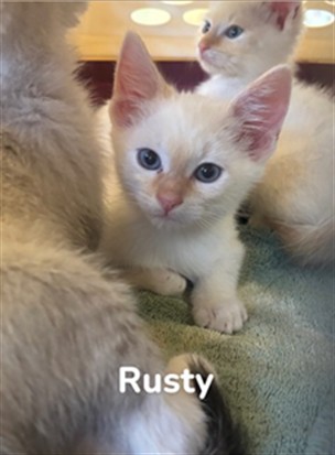 Rusty