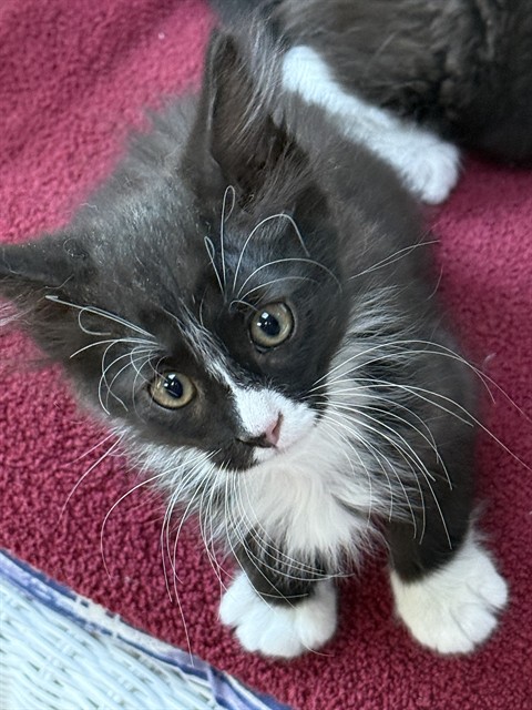 George
