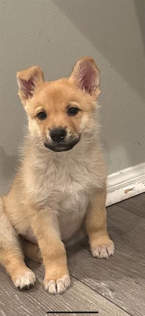 Chloe