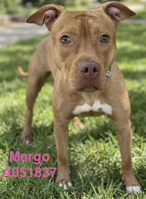 Margo