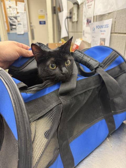 Milo