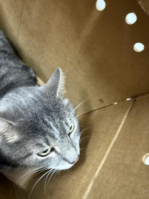 Bill