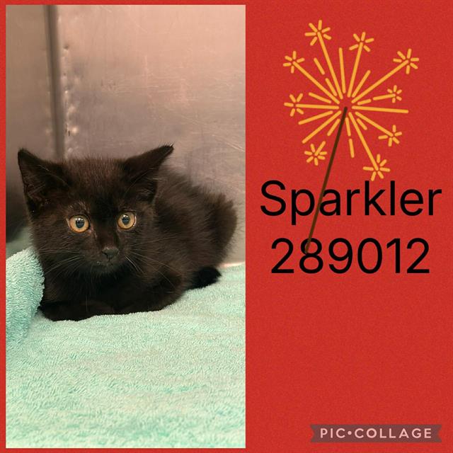 Sparkler