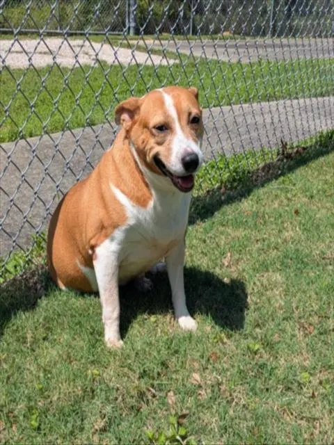 Roxy