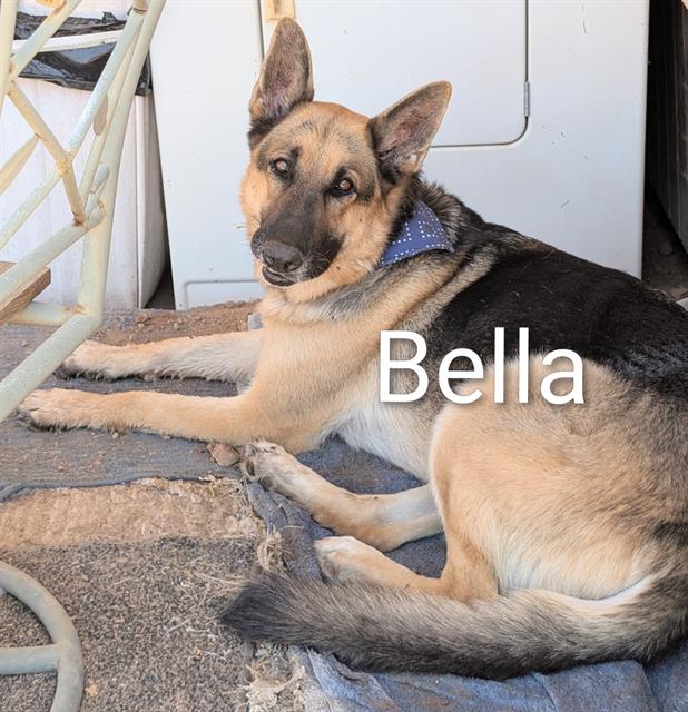 Bella
