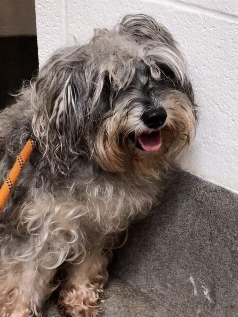 Coco