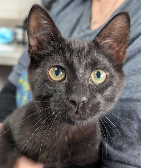 Cinder