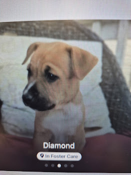 Diamond