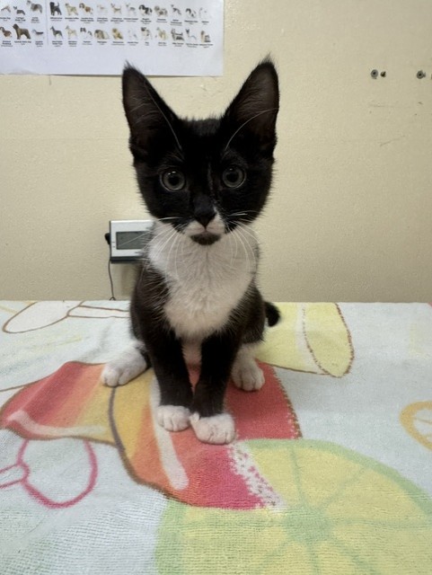 Eleanor