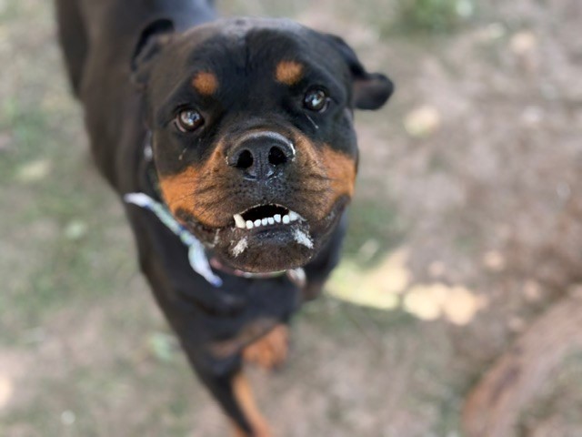 Betty