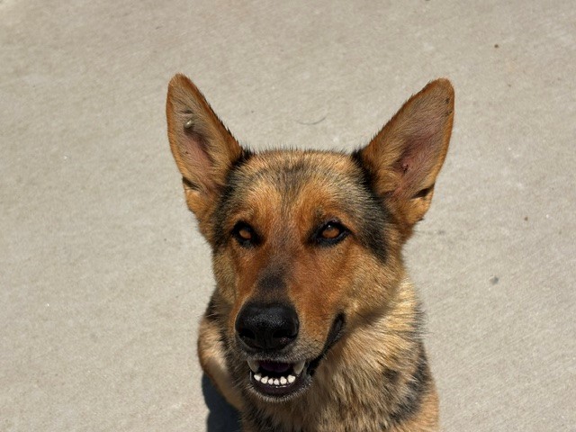 Brenda
