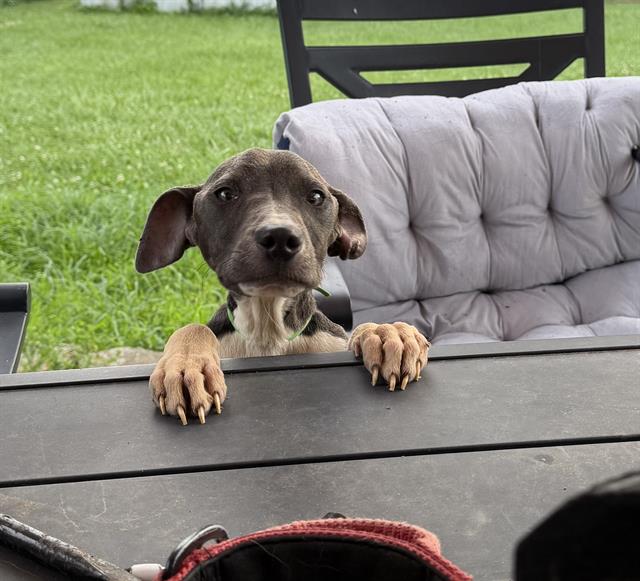 Benny