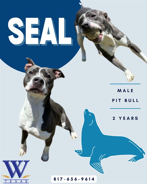 Seal