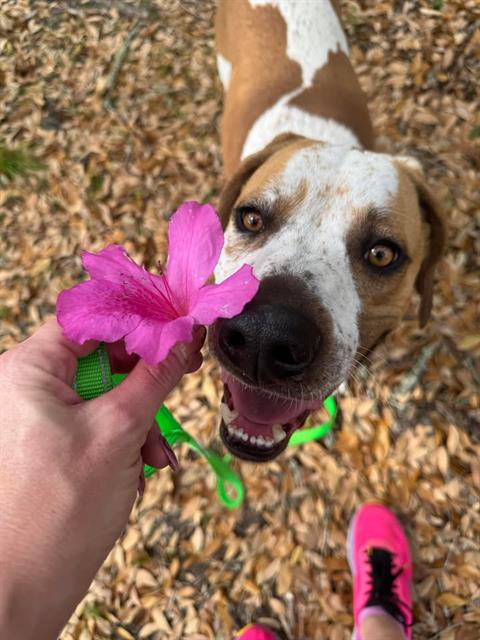 Maggie