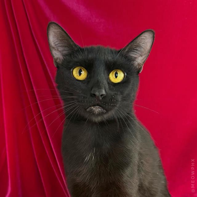Binah