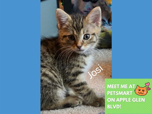 Josi