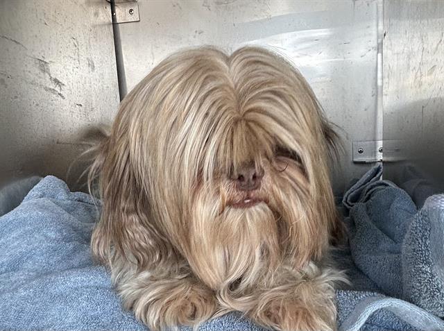 Fabio