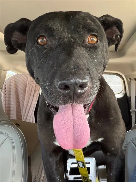 Max