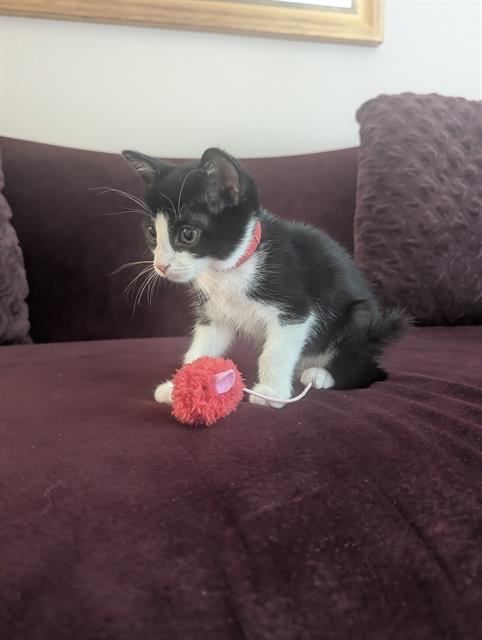 Minnie