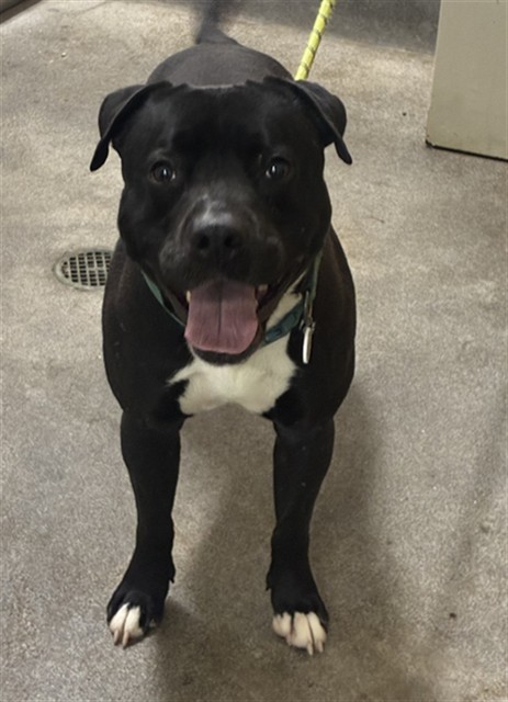 *Percy