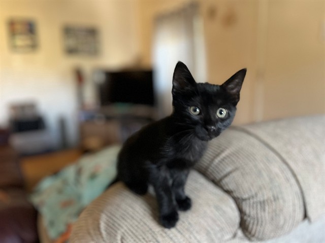 Aero