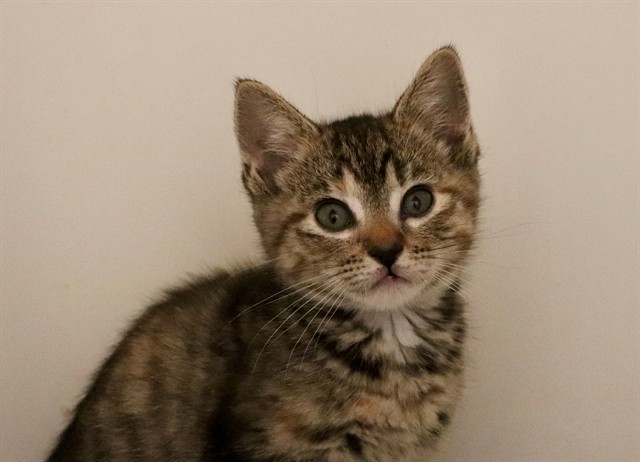 Suzie