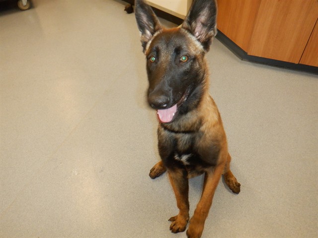Jax