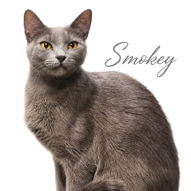 Smokey