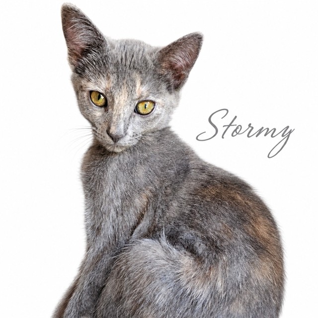 Stormy