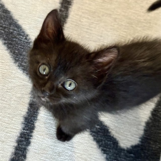 Fiona