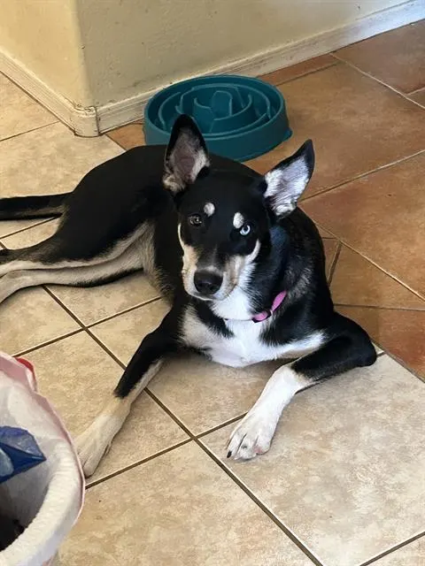 Luna