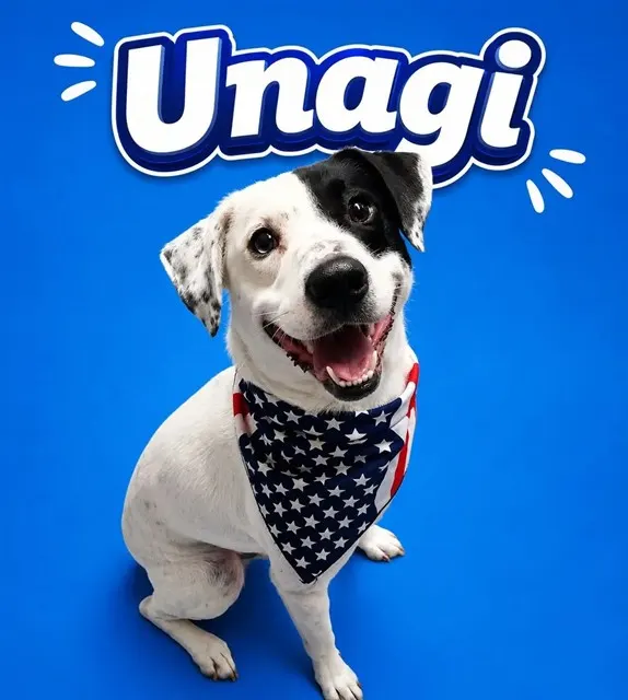 Unagi