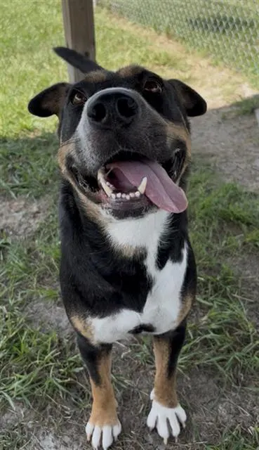 Frida