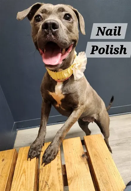 Nail Polish