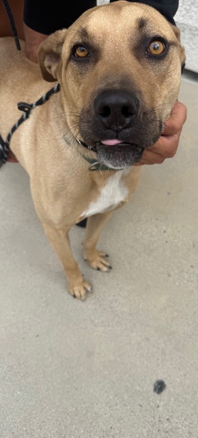 Max