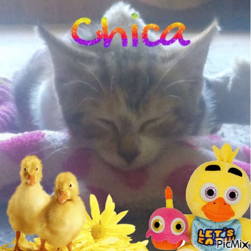 Chica