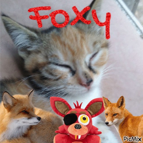 Foxy