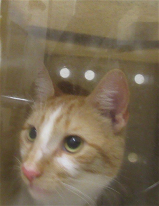 *Steve Purry