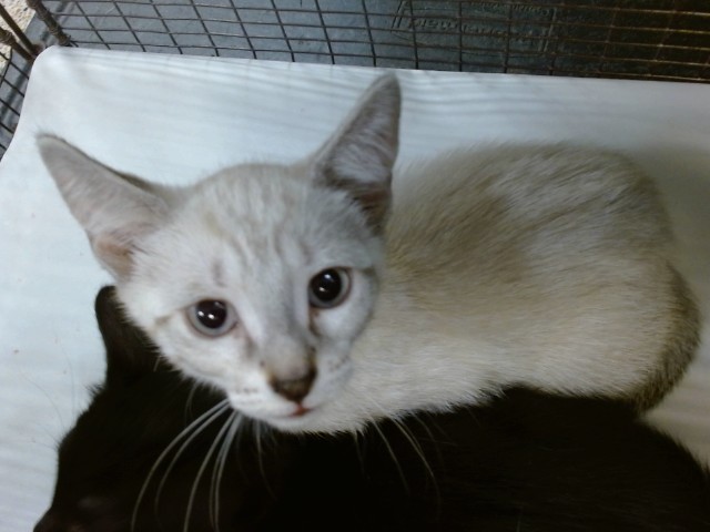 Ethel