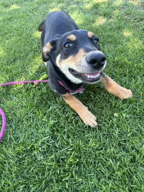 Luna