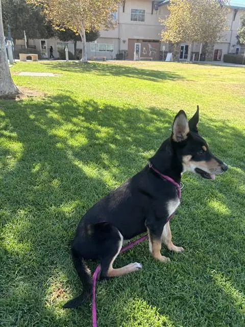 Luna