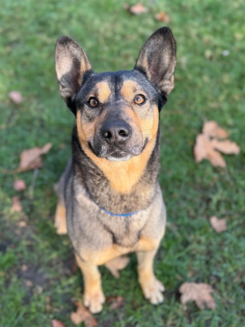 Copper