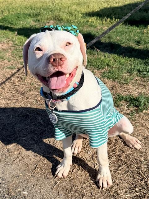 *Daisy