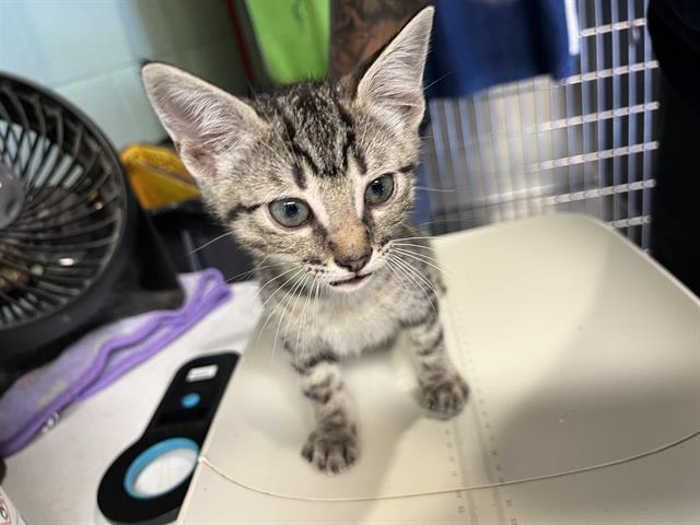 Luna