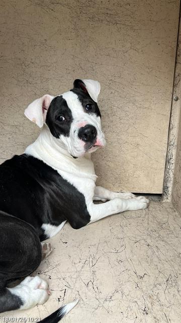 Max